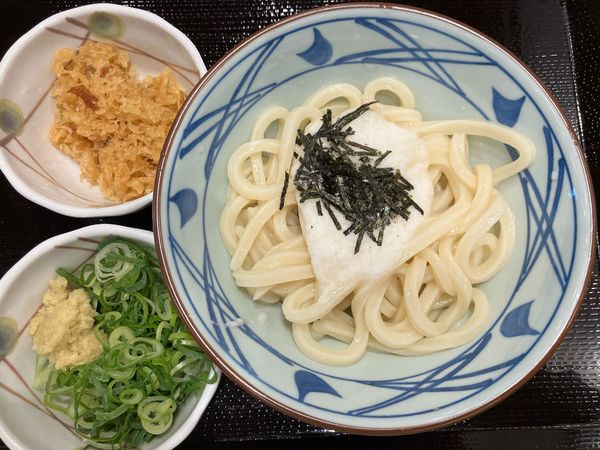 「とろろ醤油うどん480円」@丸亀製麺 千葉ニュータウン中央の写真