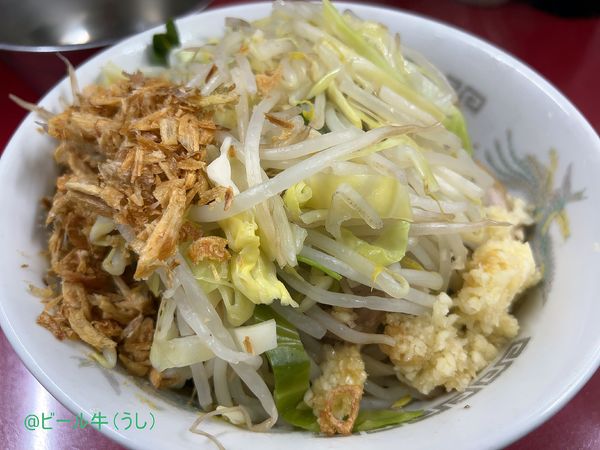 「小ラーメン(850円)麺少なめニンニク、塩汁無し変更券(150円」@ラーメン二郎 越谷店の写真