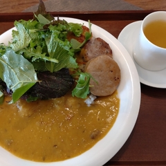 ハヤリテラスの画像