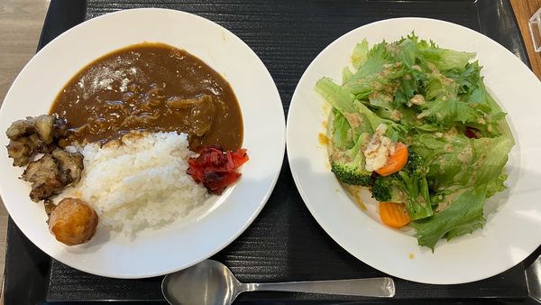 「牛スジカレー（宿泊朝食付き）」@ホテルマークワンCNTの写真