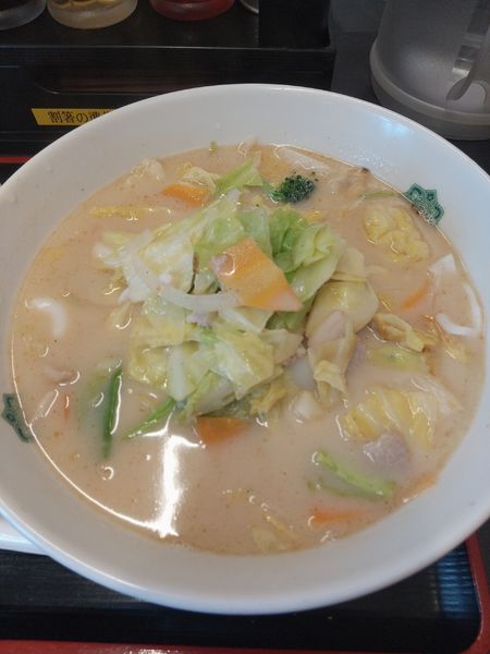 「日高ちゃんぽん」@日高屋 与野駅東口店の写真