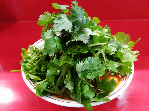 「限定・トムヤムラーメン+パクチー」@Neo町中華ししょうの写真