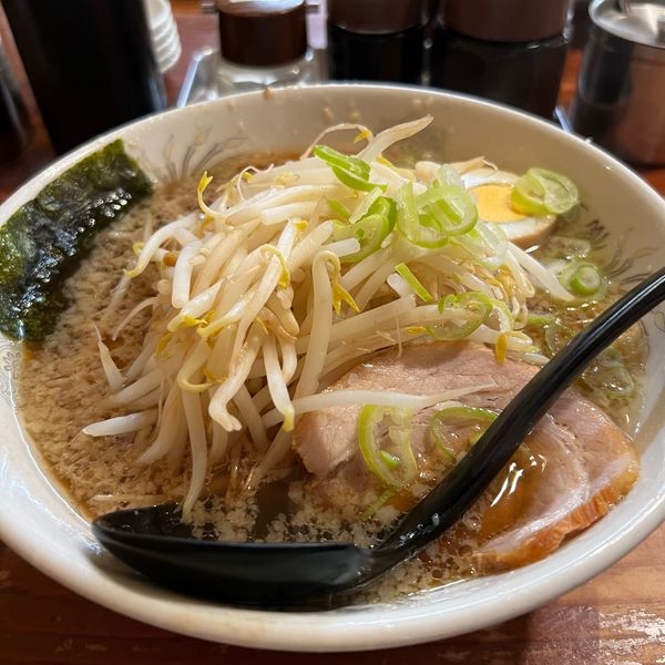 「もやしラーメン」@らーめん三水の写真