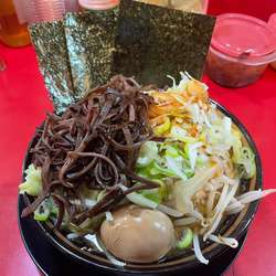 野菜ラーメン＋きくらげ＋薬味ねぎ