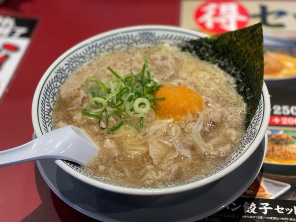 「熟成肉そば+鉄板玉子チャーハン」@丸源ラーメン 草加店の写真