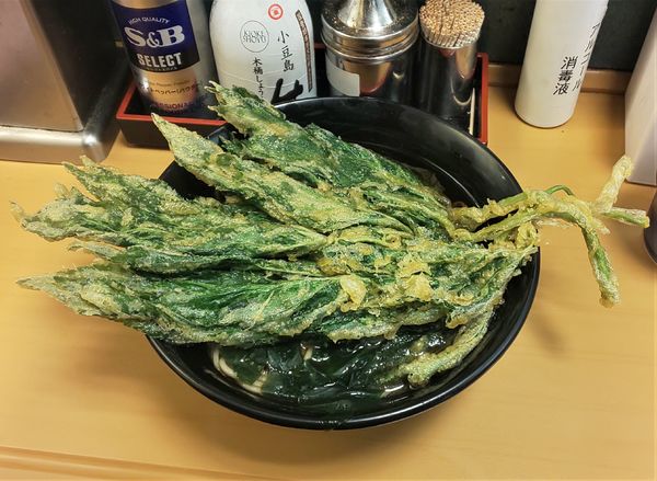 「明日葉天そば」@名代 富士そば 秋葉原店の写真