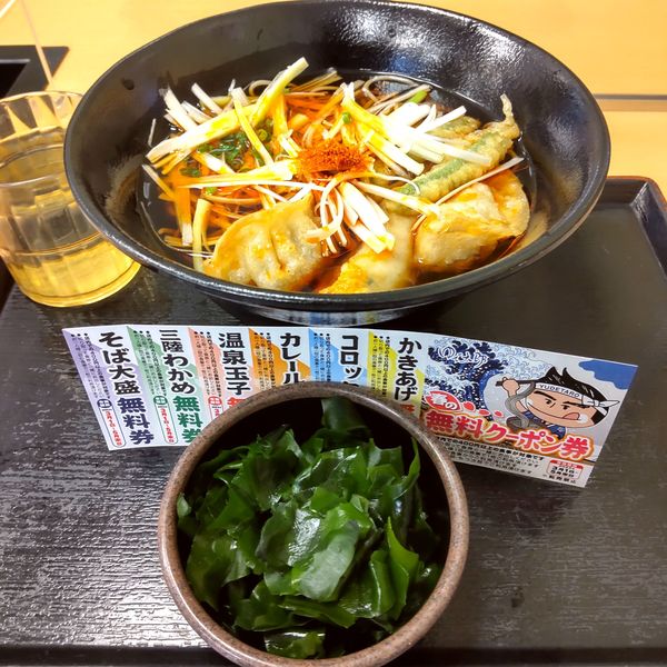 「【季節限定】ピリ辛揚げ餃子そば（￥650）＋三陸わかめ（クー」@ゆで太郎 蒲田中央通り店の写真