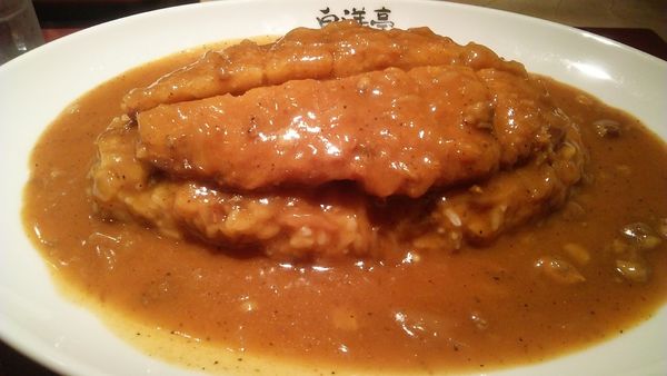 「とんかつカレー 930円」@旨辛カレー専門店 白洋亭の写真