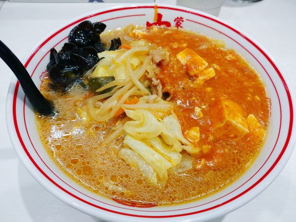 「蒙古タンメン（870円）」@蒙古タンメン 中本 川崎店の写真