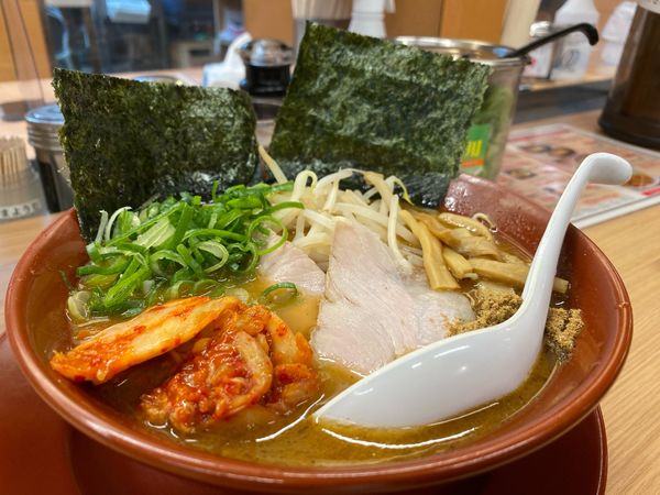 「魚介豚骨」@ラーメン横綱 鳳店の写真