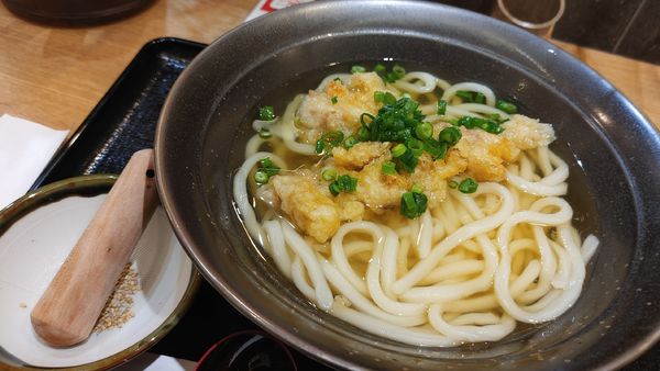「鶏天うどん大盛 ￥550(オープン記念価格)」@山下本気うどん 川崎銀柳街の写真