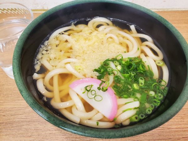 「かけうどん」@かけはし 松山店の写真