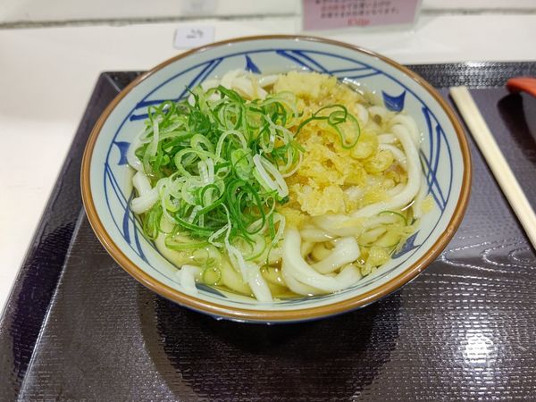 「かけうどん(並盛)390円」@丸亀製麺 イーサイト高崎店の写真