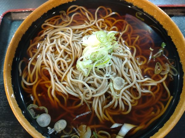 「かけそば（特盛＋２２０円）＝５４０円」@めとろ庵 大手町店の写真