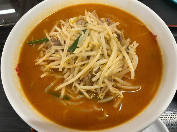 「秘伝の辛味噌ﾗｰﾒﾝ大盛固め670円」@日高屋 小田急町田北口店の写真