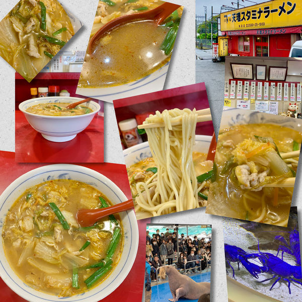 「スタミナラーメン　790円」@天理スタミナラーメン 鳥羽店の写真