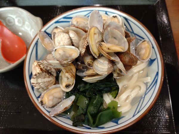 「（期間・店舗限定）山盛りあさりうどん（並）　７９０円」@丸亀製麺 足立加平店の写真