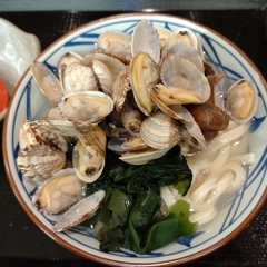 丸亀製麺 足立加平店の画像