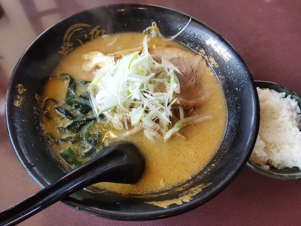 「味噌ラーメン」@北海道らーめん 龍源 大泉店の写真