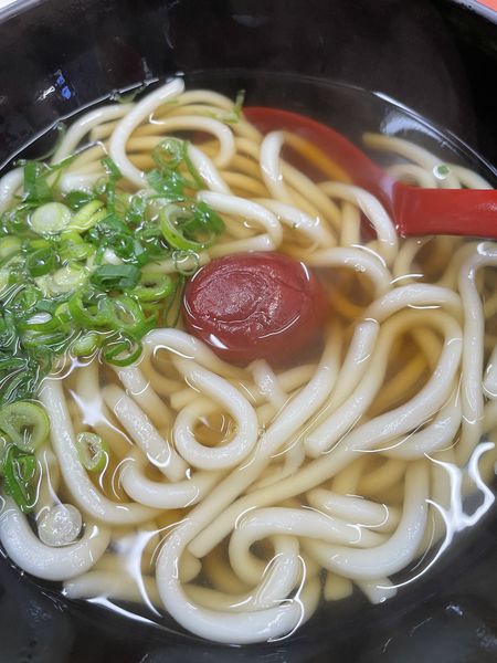 「うめうどん」@ゑびすうどんの写真