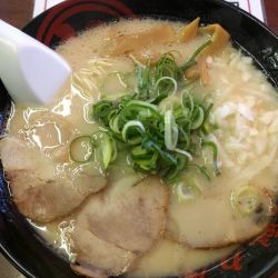期間限定 鶏白湯ラーメン