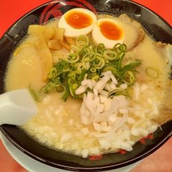 期間限定　鶏白湯麵