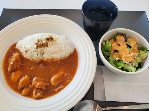 「バターチキンカレー」@レストランVOTAGEの写真