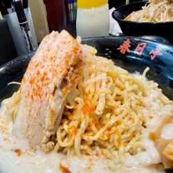 鳥豚油そば 最強盛/ライス