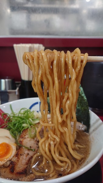 「国泰寺ブラック」@がっつり!!こーちゃんの写真