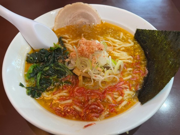 「海老塩ラーメン」@らーめん和蔵 本店の写真
