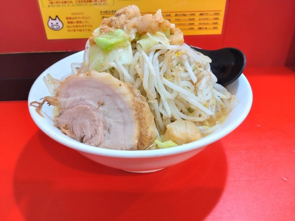 「中ラーメン　トッピング全て普通」@立川マシマシ 太田店の写真