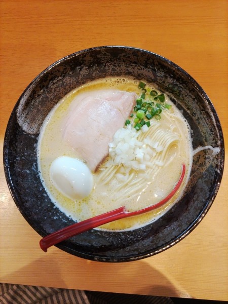 「とりそば  塩 +味玉  ﾒﾝﾏ抜き」@麺堂 稲葉の写真