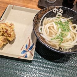 かけうどん小とげそ天