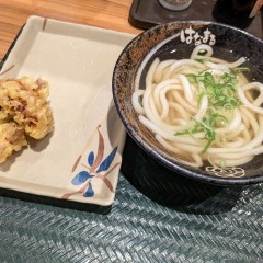 はなまるうどん 池袋サンシャイン通り店の画像