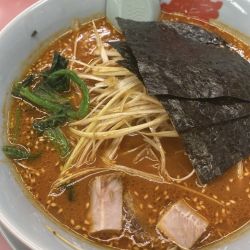 辛味噌 固め濃いめ少なめ