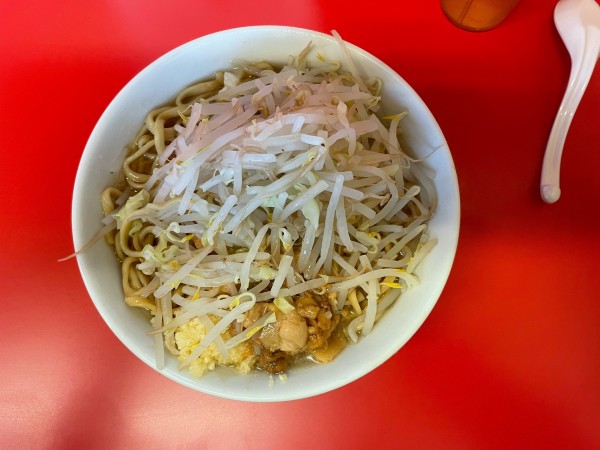 「並豚　ニンニクアブラ」@ラーメンの写真