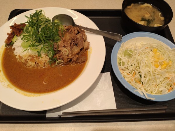 「ねぎたっぷり牛肉スパイスカレー 生野菜セット　７９０円」@松屋 神田西口店の写真