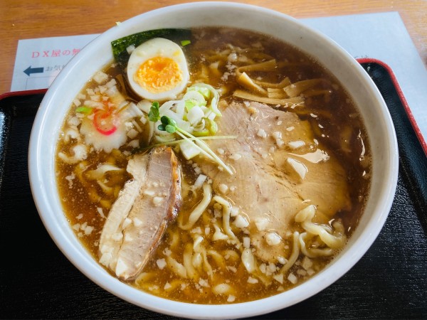 「極太にぼしDX」@ラーメンDX屋の写真