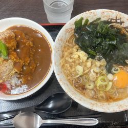 カツ丼カレーセット