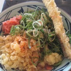 ぶっかけうどん＋明太子＋ごぼう天