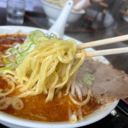 本日のラーメン1000円  海老しお坦々麺