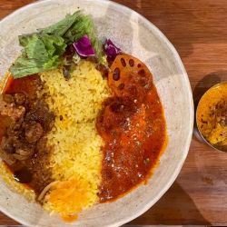 選べる2種カレー