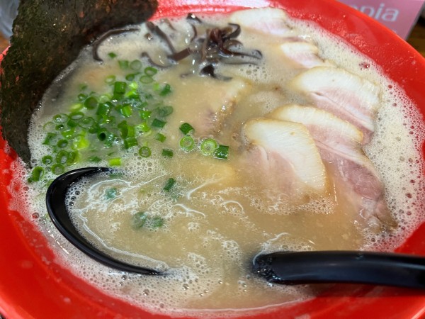 「白豚骨」@辻商店の写真