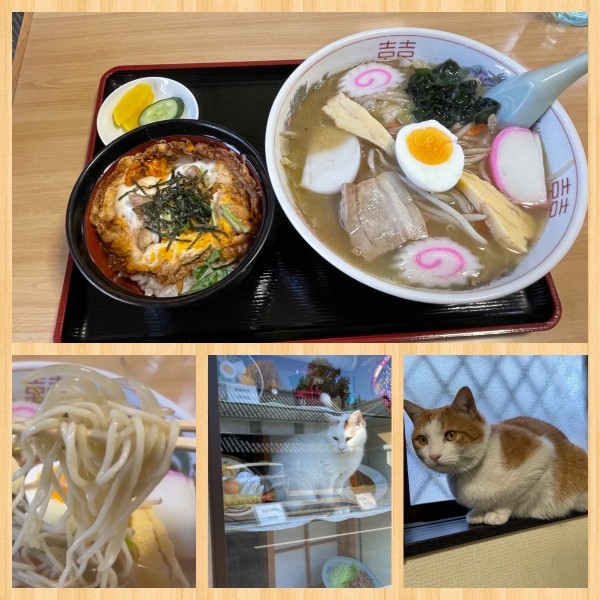 「五目そば 650円・ミニ親子丼 300円」@そば処 大むらの写真