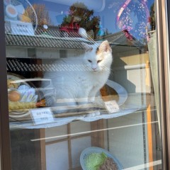 そば処 大むらの画像