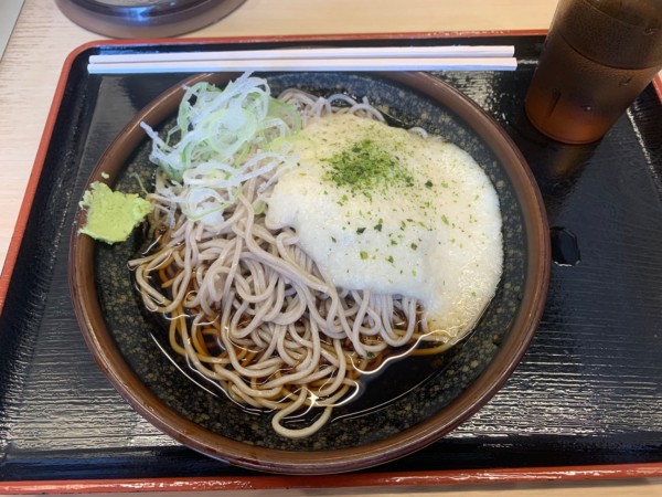 「冷やしとろろそば 500円」@そば処 めとろ庵 門前仲町店の写真