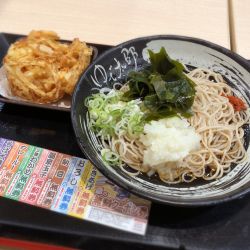 朝そば(冷・鬼おろし/420円)+わかめ(クーポン)