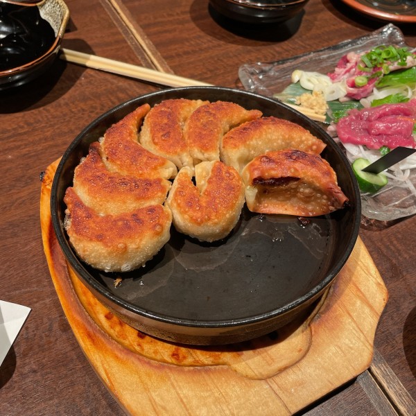 「博多鉄板餃子」@九州 熱中屋 御茶ノ水 LIVEの写真