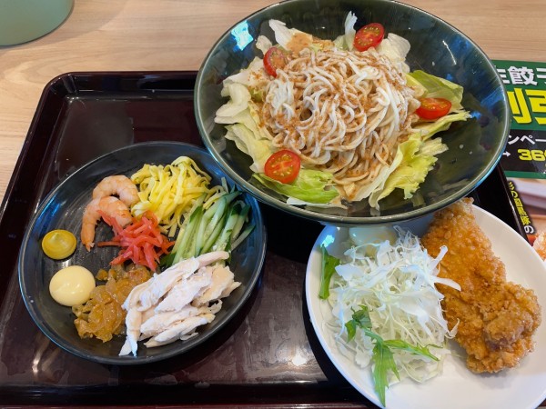 「野菜たっぷり冷やし中華・唐揚げ」@埼玉タンメン 山田太郎 熊谷原島店の写真