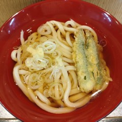 デイリーチコの画像